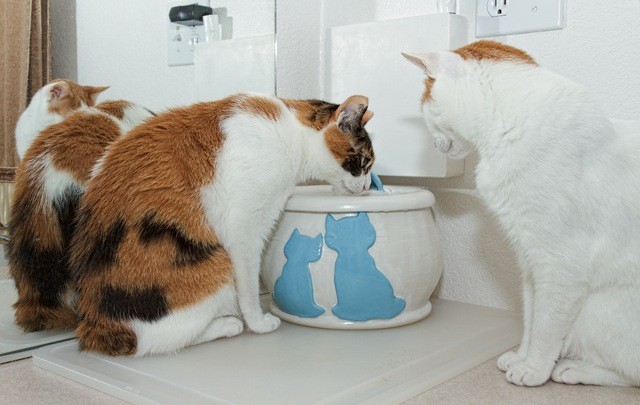 Kumi and Yoshi with an Ebi drinking fountain